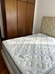 Simsville (D14), Condominium #501936961